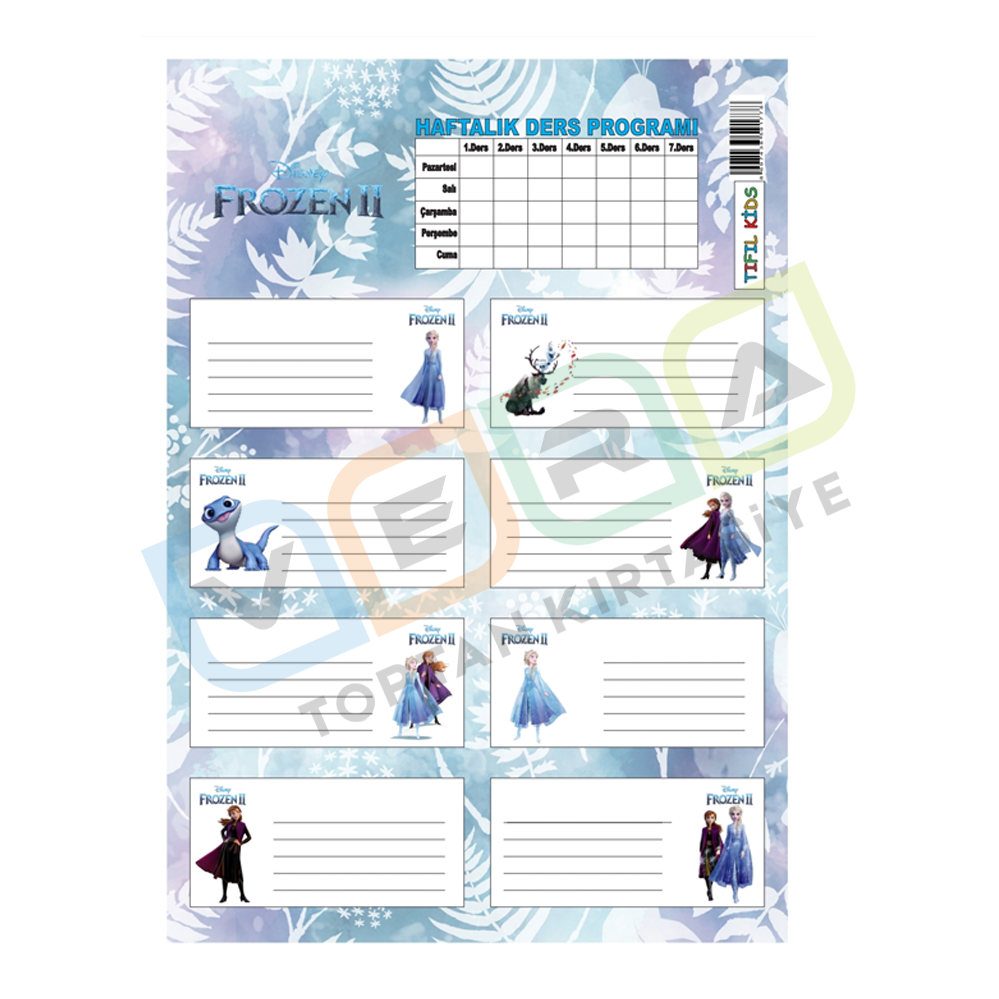 Frozen Ders Programlı 3'lü Blister Okul Etiketi