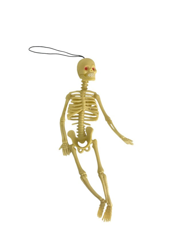 ALSA PLASTİK İSKELET 20 Lİ