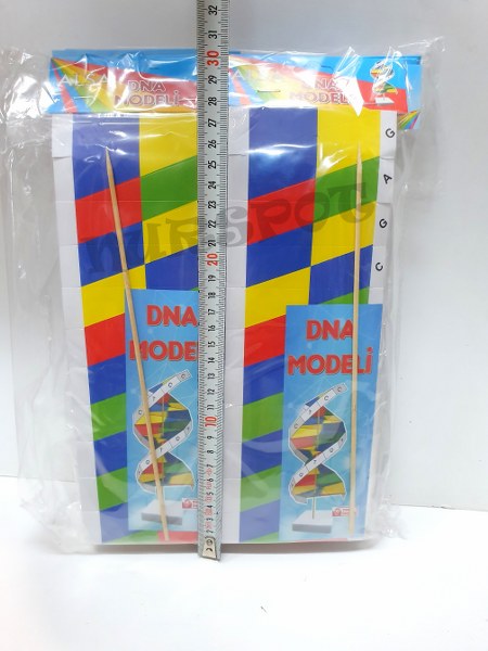 iş eğitimi dna modeli 10 lu 0555