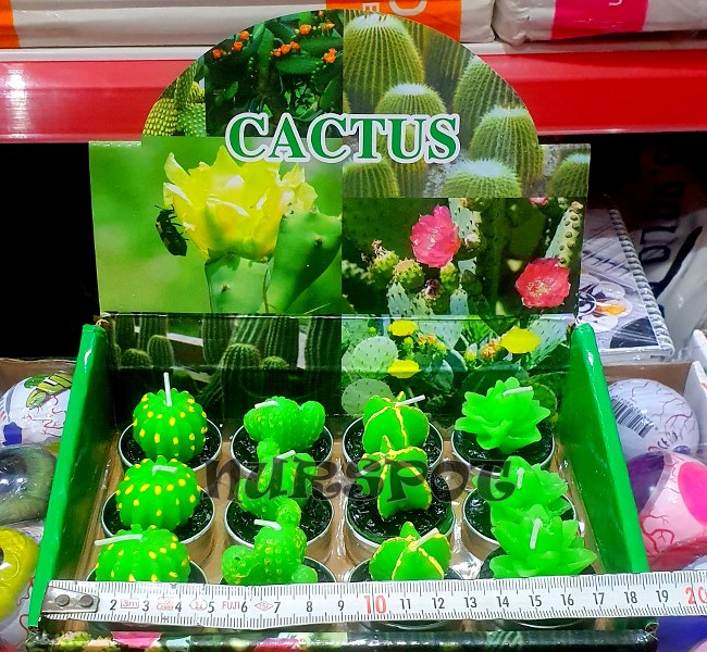 mum kaktüs 12 li 1110