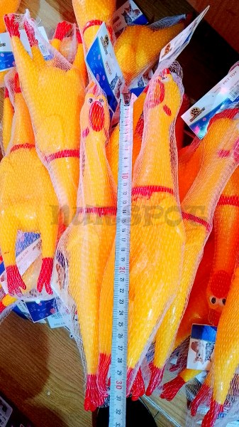 öten horoz böğüren horoz büyük boy