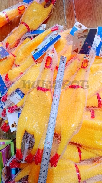 böğüren öten horoz küçük boy