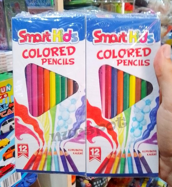 kuruboya kalemi 12 li uzun