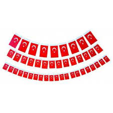 ipli bayrak küçük boy 6*10