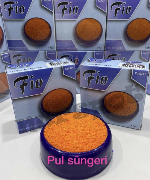 para pul süngeri 741