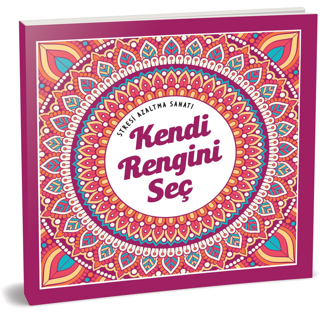 EMA KENDİ RENGİNİ SEÇ MANDALA