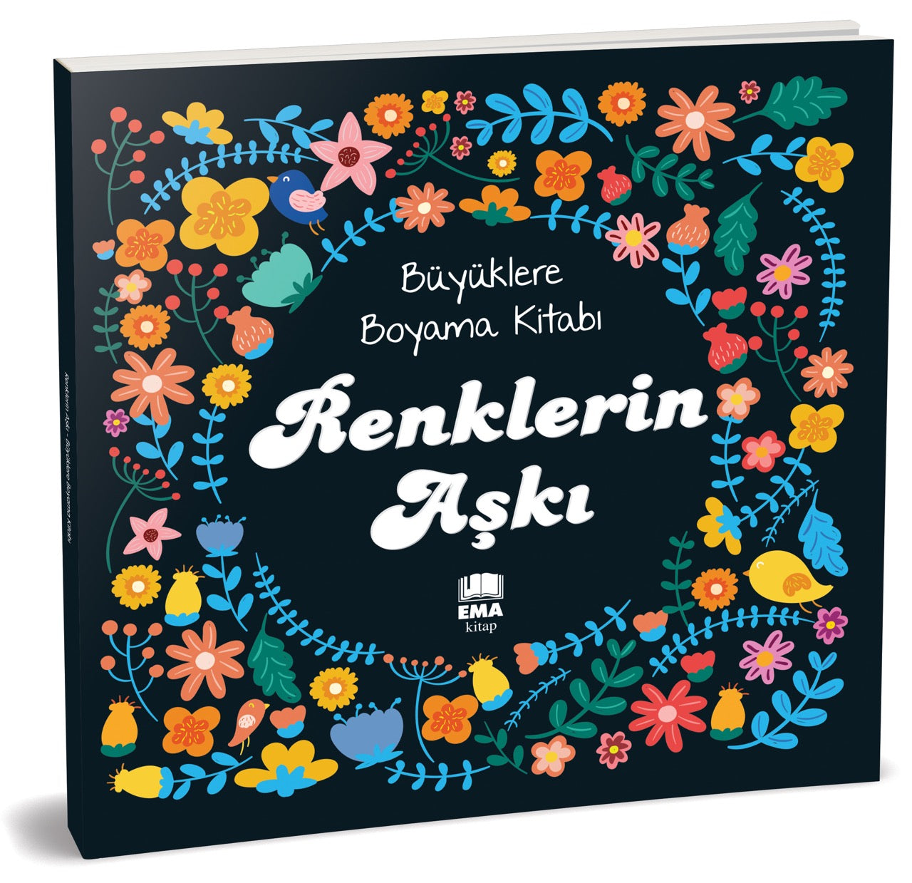RENKLERİN AŞKI BOYAMA/EMAKİTAP *50