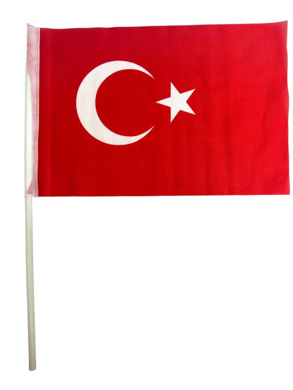 VATAN SOPALI BAYRAK BEZ 20X30 BAYRAK 10'LU =